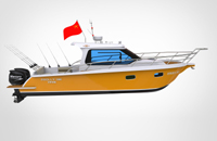 35�����е���ͧ�����Ͻ�